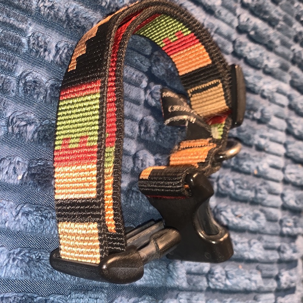 BISON collar